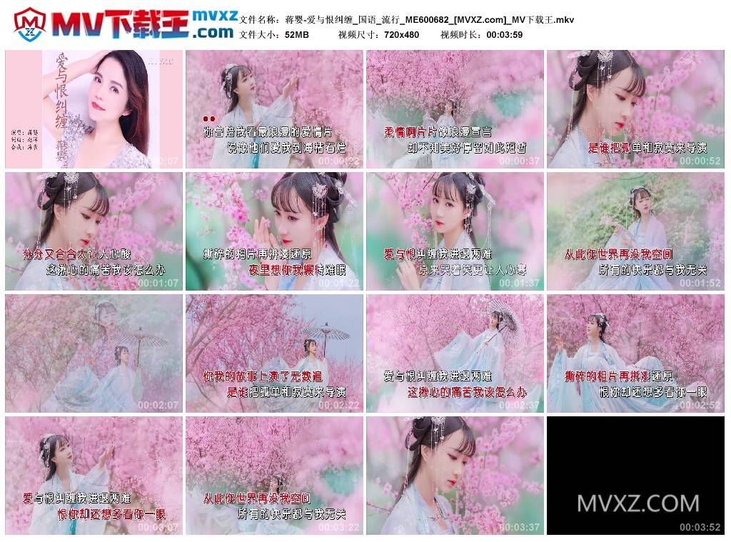 蒋婴-爱与恨纠缠_国语_流行_ME600682